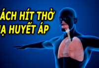 3-phuong-phap-tho-lam-ha-huyet-ap-chi-5-phut-moi-ngay