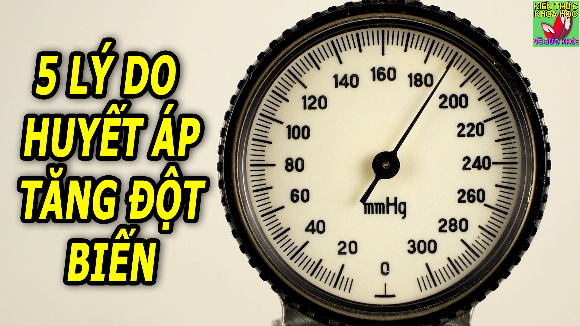 5-nguyen-nhan-lam-tang-huyet-ap-nen-biet-de-phong-ngua