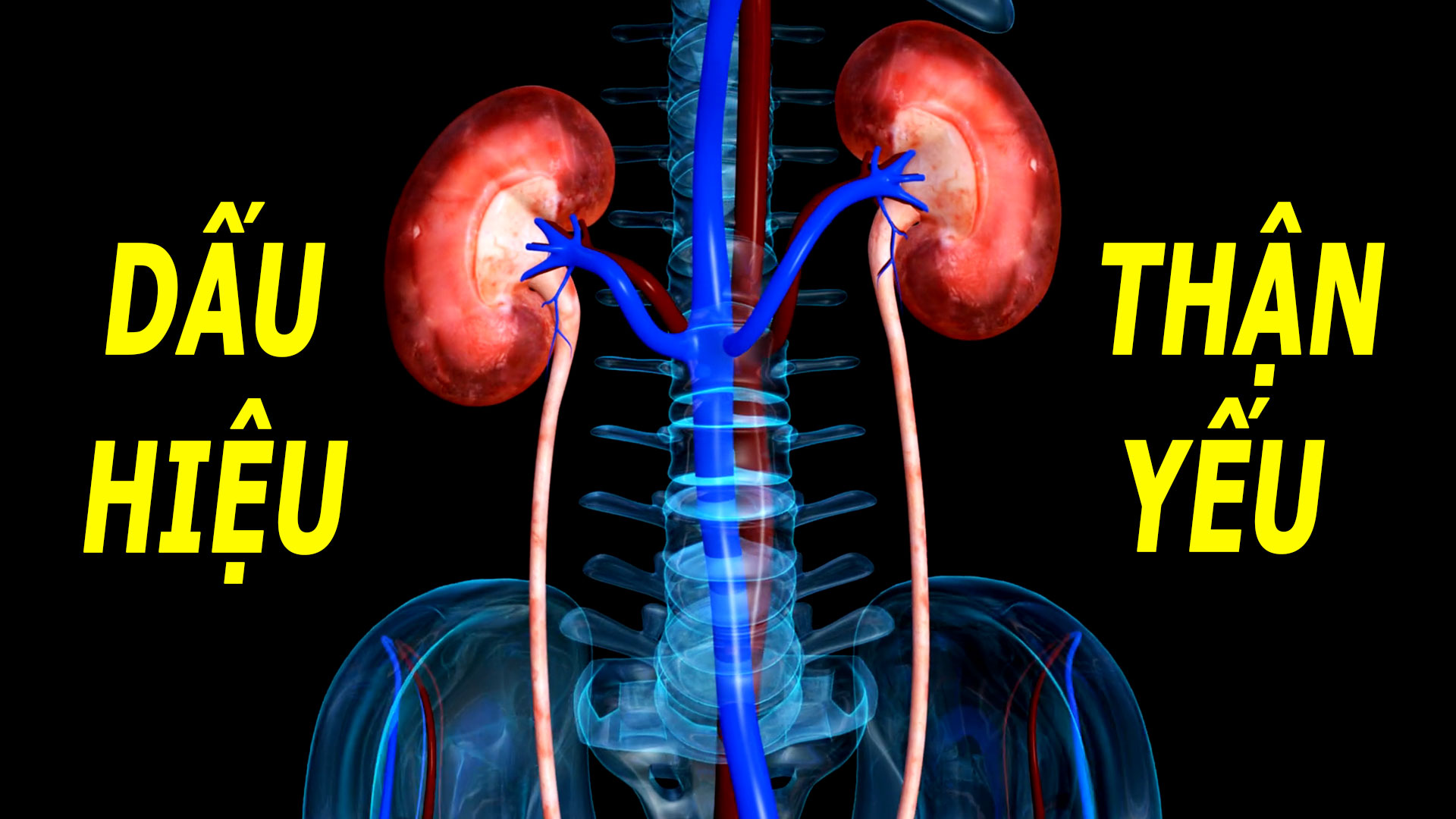 8-dau-hieu-canh-bao-suc-khoe-than-dang-dan-suy-giam