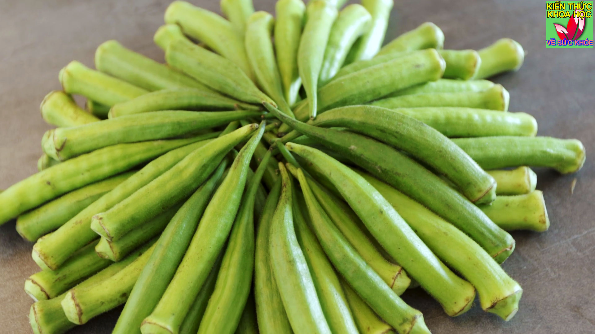 an-dau-bap-nhieu-co-tot-khong