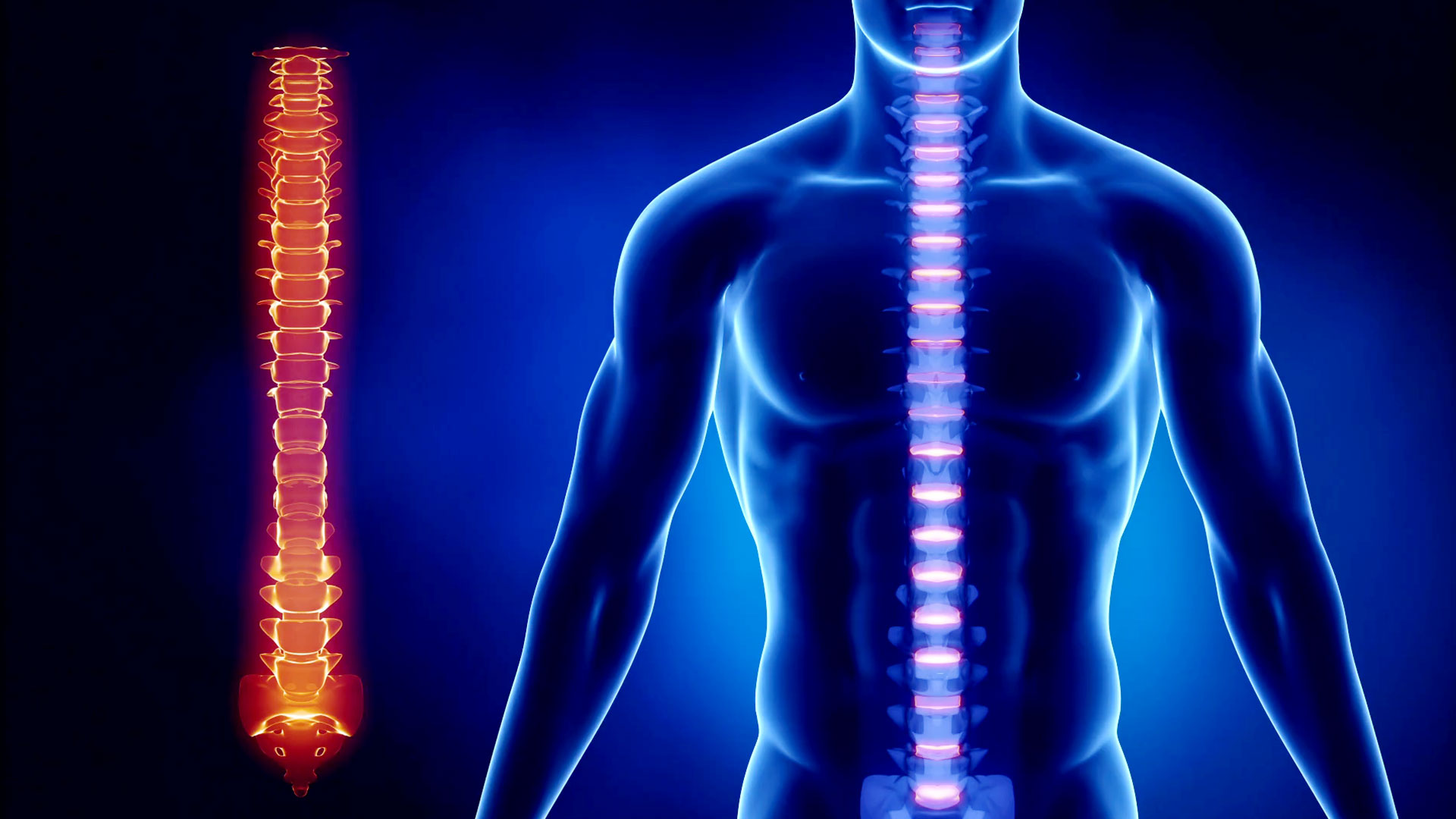 bai-tap-giup-giam-dau-thoat-vi-dia-dem-cot-song