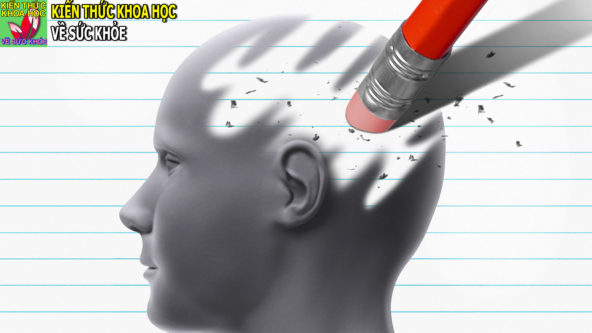 bai-tap-hang-ngay-giup-giam-nguy-co-mac-benh-Alzheimer