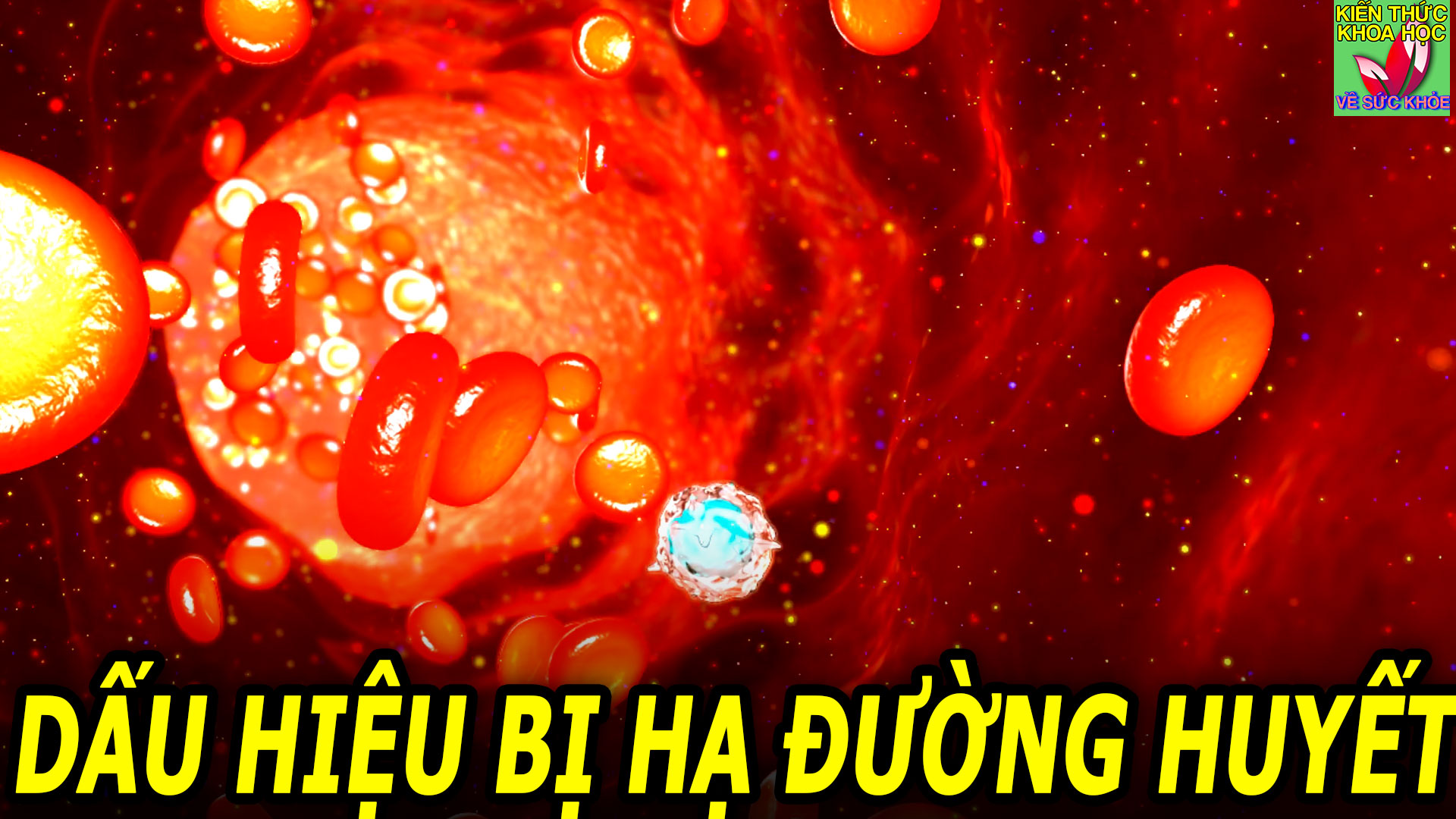 dau-hieu-bi-ha-duong-huyet