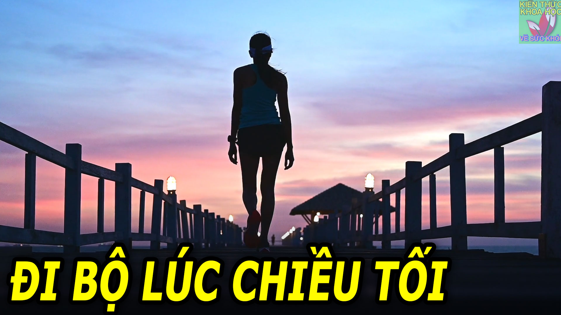 di-bo-vao-buoi-chieu-toi-co-tot-khong