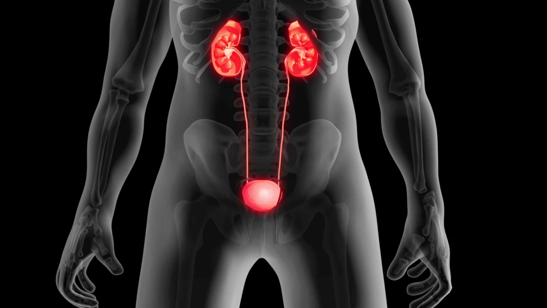 nguoi-benh-tang-huyet-ap-co-the-bi-suy-than-bat-cu-luc-nao