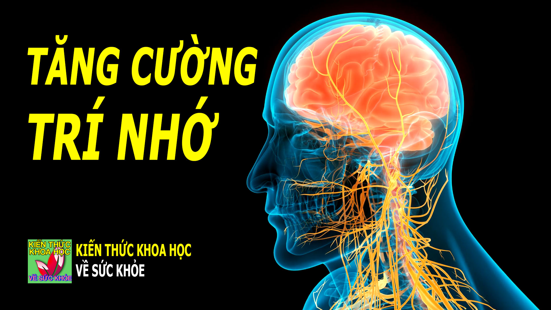 thuc-pham-bo-nao-tang-cuong-tri-nho-khi-ve-gia