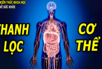 4-cach-don-gian-giup-thanh-loc-thai-doc-co-the