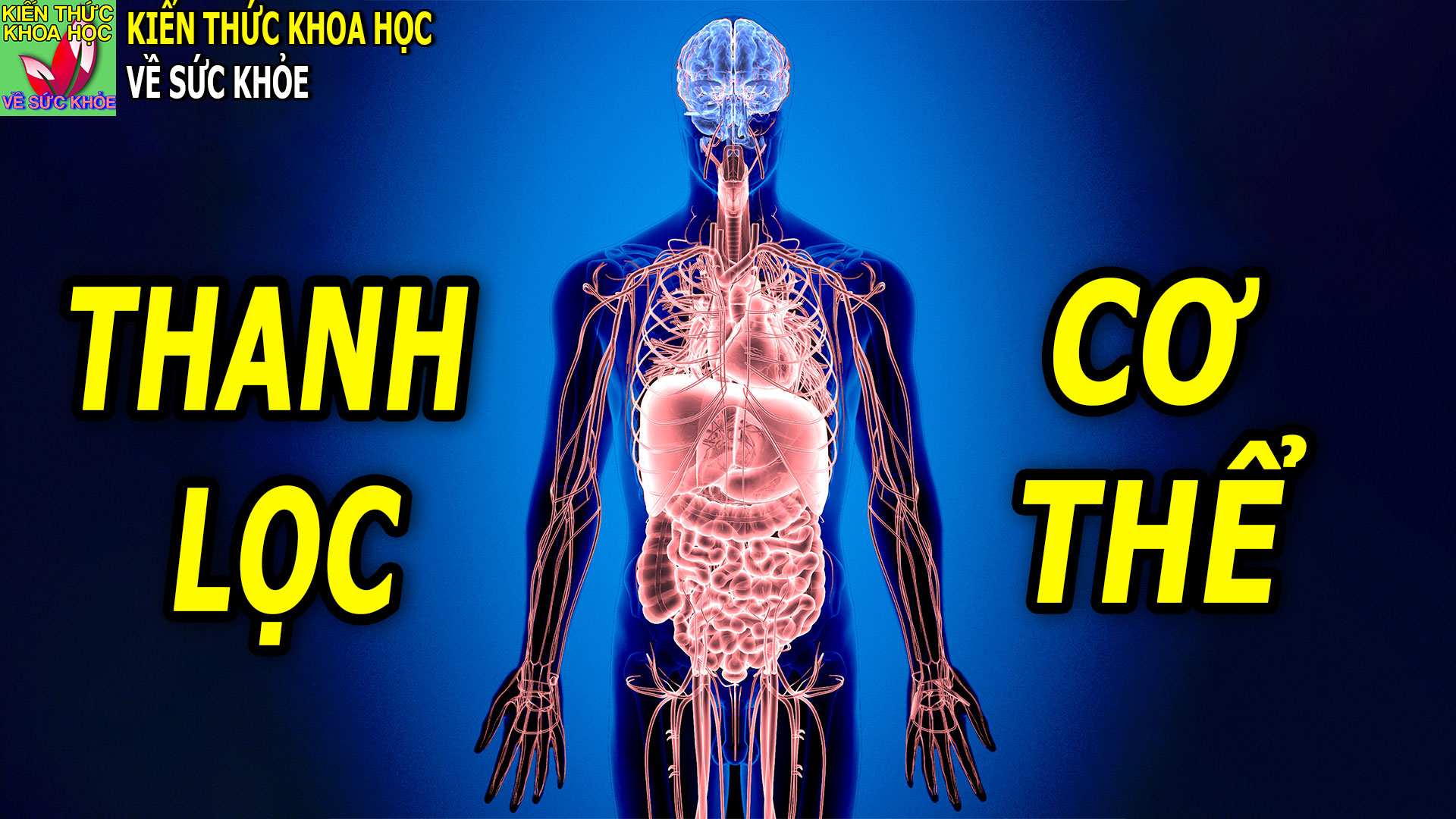 4-cach-don-gian-giup-thanh-loc-thai-doc-co-the