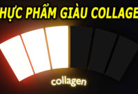 4-loai-thuc-pham-chua-nhieu-collagen-giup-ngan-ngua-lao-hoa