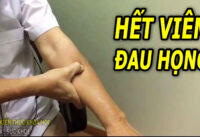 5-huyet-vi-ho-tro-dieu-tri-ho-viem-hong