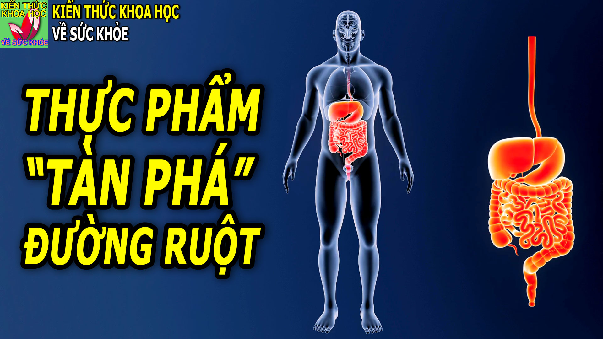 6-loai-thuc-pham-dang-bao-mon-suc-khoe-duong-ruot-cua-ban