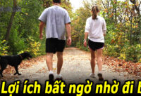 di-bo-moi-ngay-co-the-nhan-ve-4-loi-ich-suc-khoe-bat-ngo