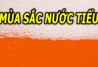 mau-nuoc-tieu-bat-thuong-canh-bao-van-de-ve-suc-khoe