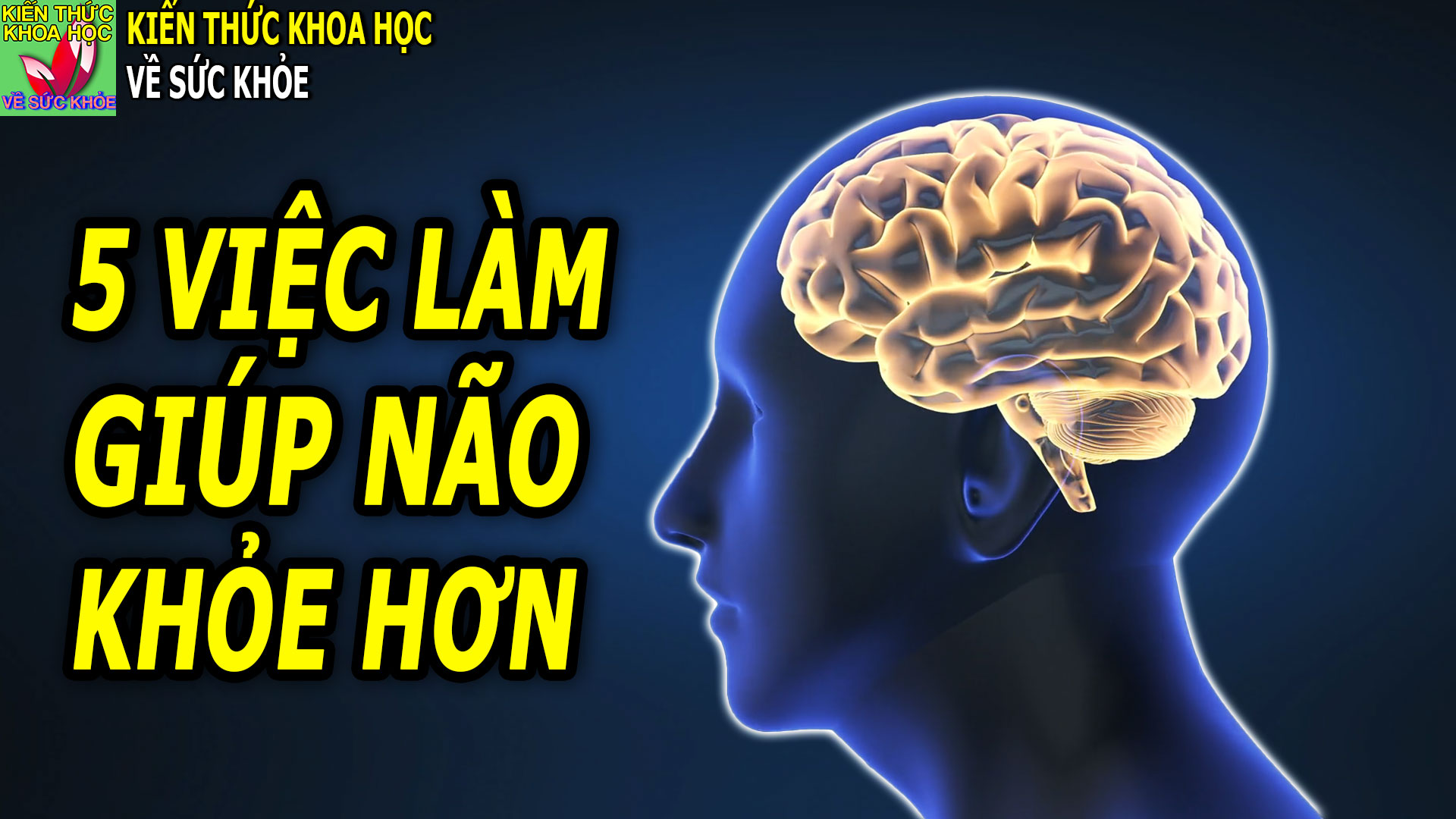 5-cach-giup-bo-nao-khoe-manh-theo-thoi-gian