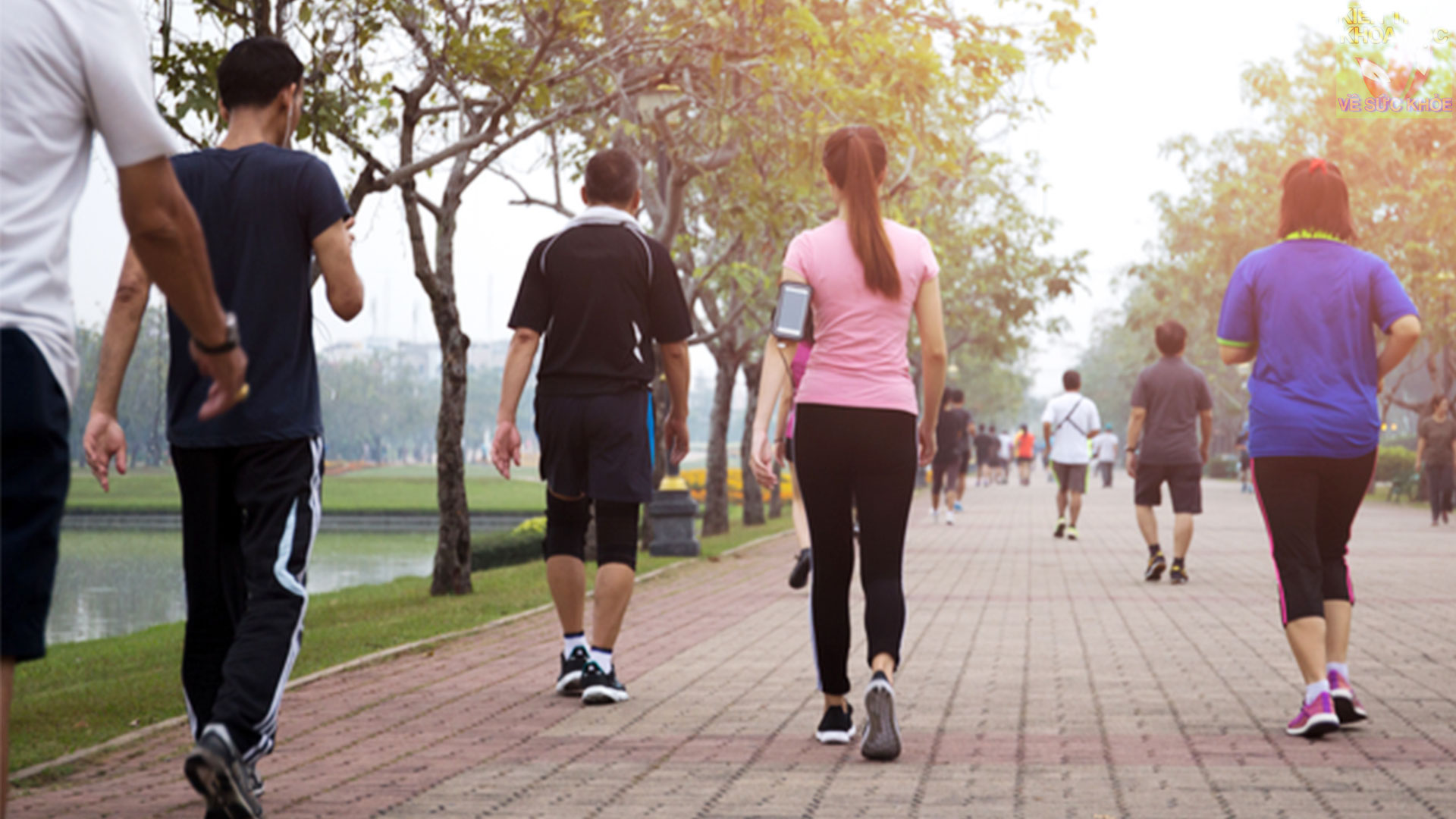 6-meo-di-bo-giup-ban-dat-hieu-qua-cao-nhat