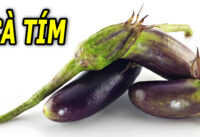 an-ca-tim-co-tot-khong