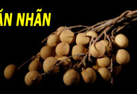 an-nhan-co-tot-khong