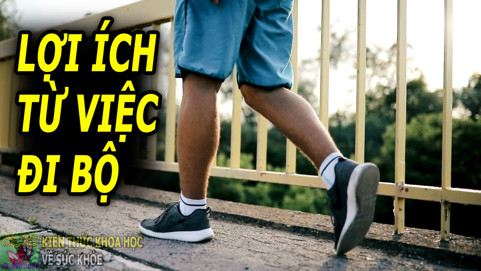 phat-hien-them-loi-ich-moi-cua-viec-di-bo