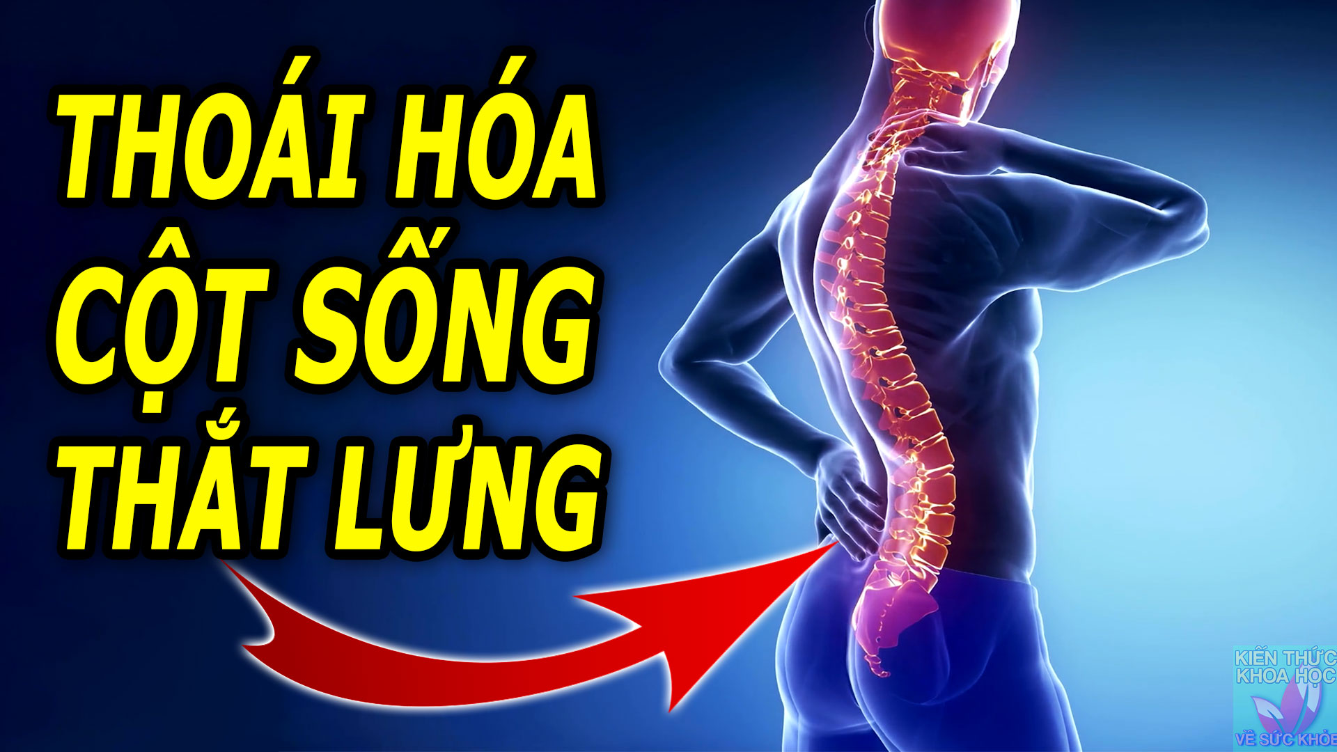thoai-hoa-cot-song-that-lung-la-gi