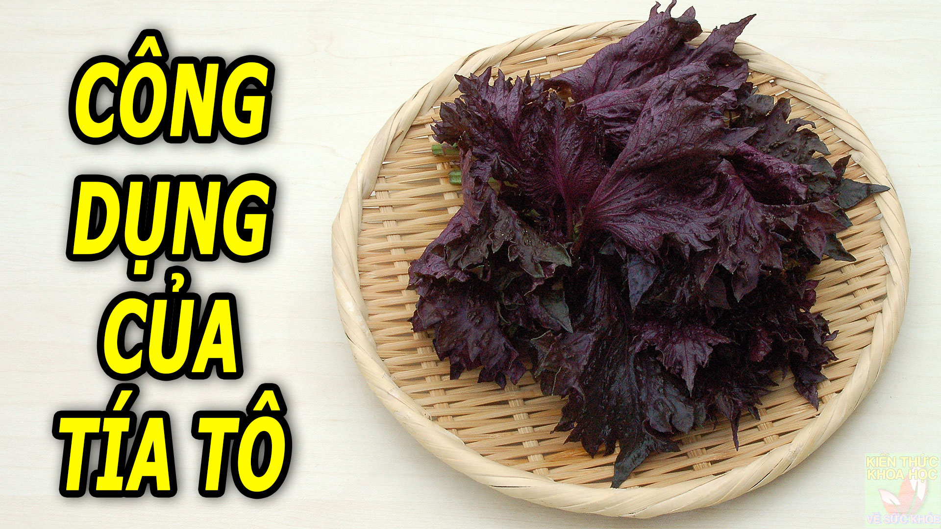 tia-to-co-tac-dung-gi