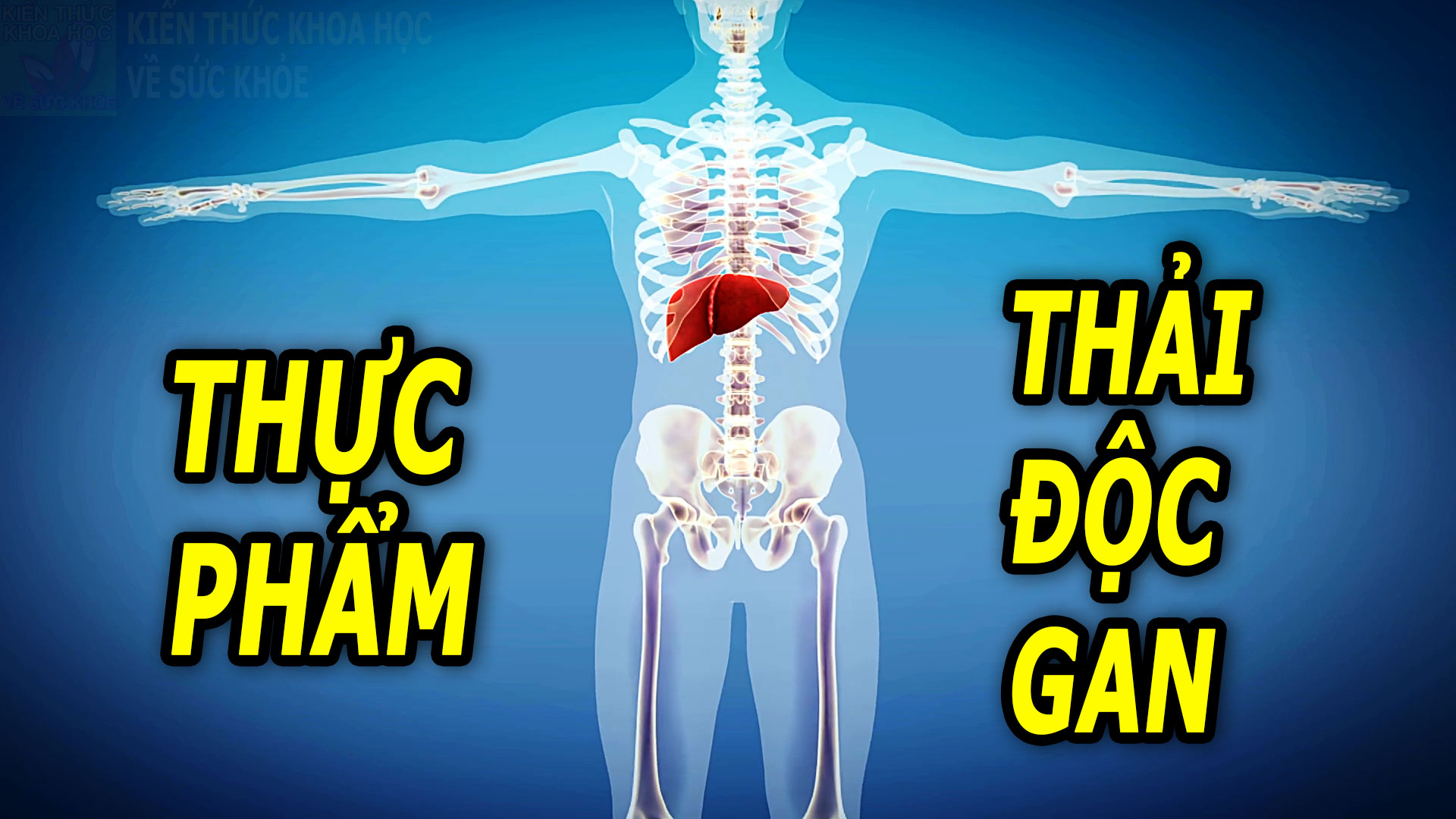 7-loai-thuc-pham-giup-tang-cuong-giai-doc-gan