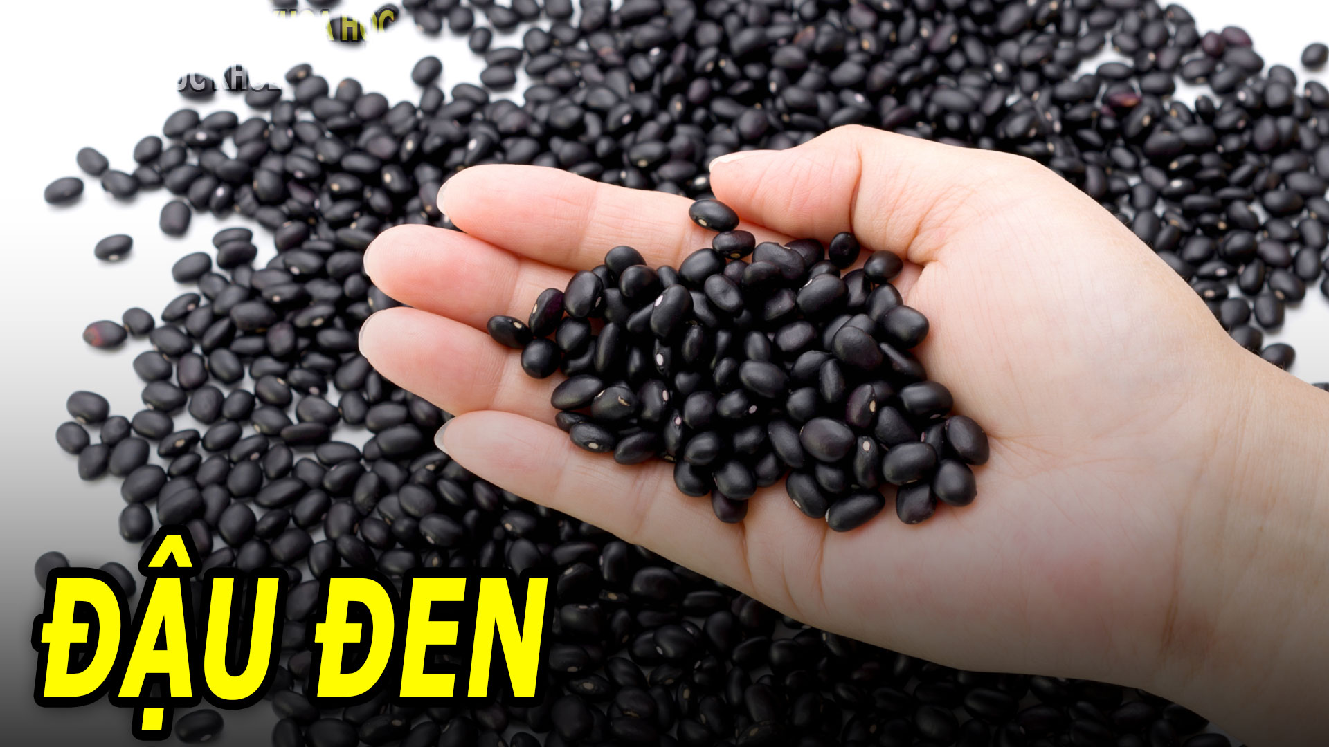 an-dau-den-co-tac-dung-gi