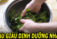 loai-rau-bo-duong-cuc-tot-cho-suc-khoe