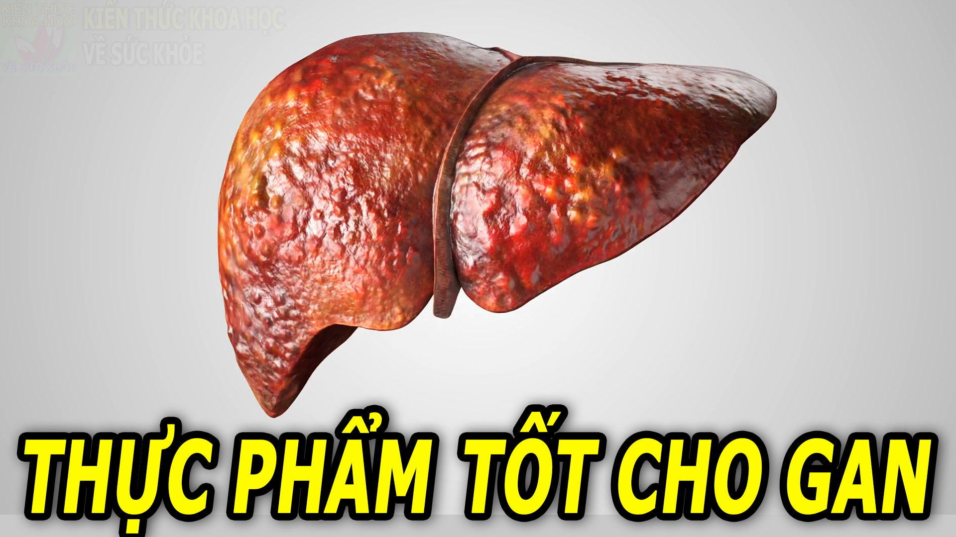 nhung-thuc-pham-tot-va-khong-tot-cho-gan