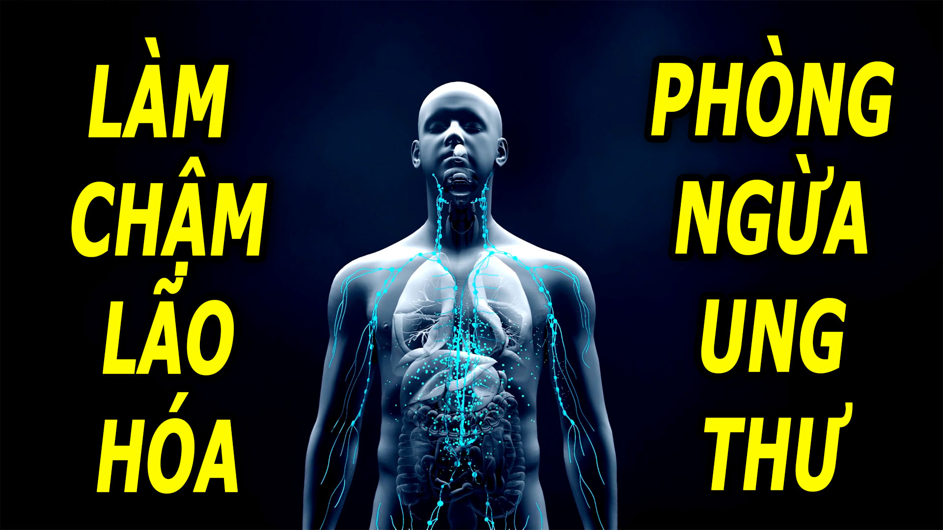 thuc-pham-giup-lam-cham-lao-hoa-giam-nguy-co-ung-thu