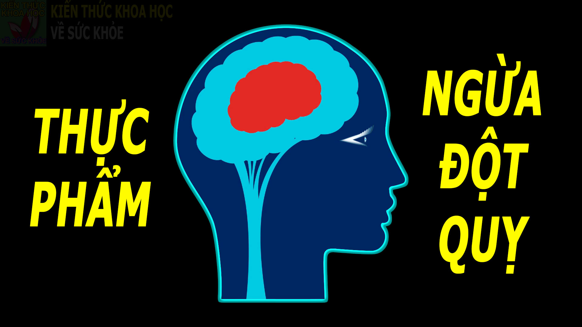 thuc-pham-nen-va-khong-nen-an-de-phong-ngua-dot-quy