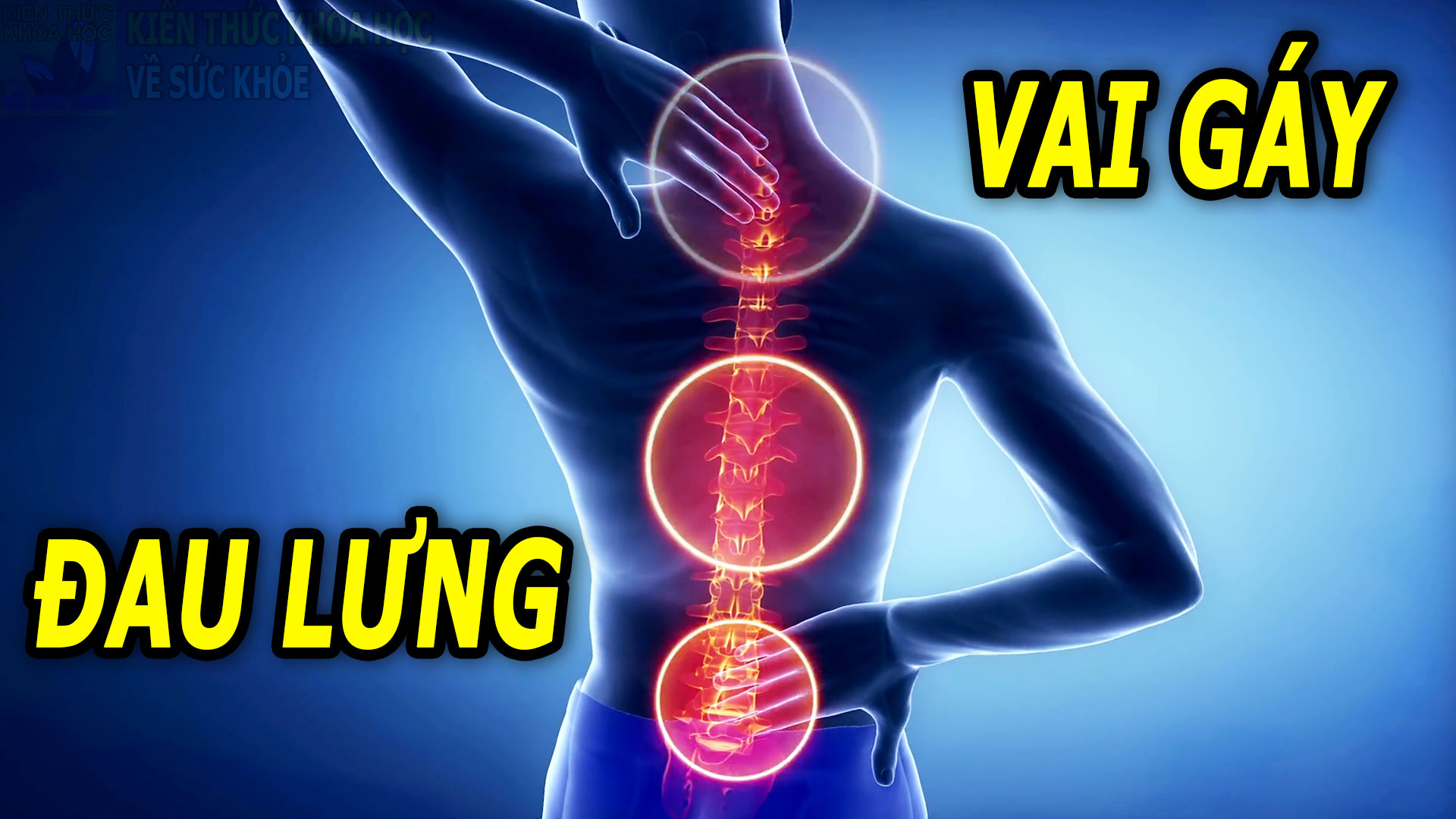 thuong-xuyen-dau-lung-dau-moi-vai-gay-te-bi-chan-tay-cho-nen-chu-quan