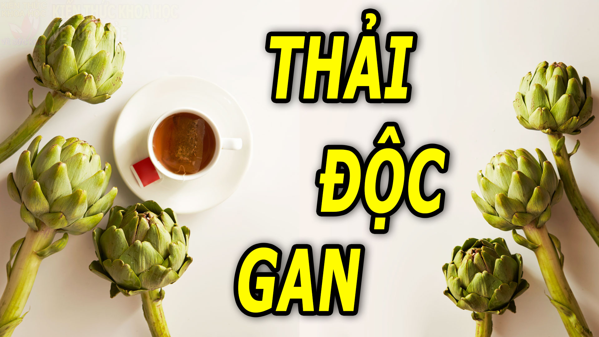 6-loai-nuoc-uong-mat-gan-giai-doc-thanh-loc-co-the