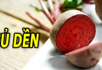 7-cong-dung-tuyet-voi-cua-cu-den-doi-voi-suc-khoe