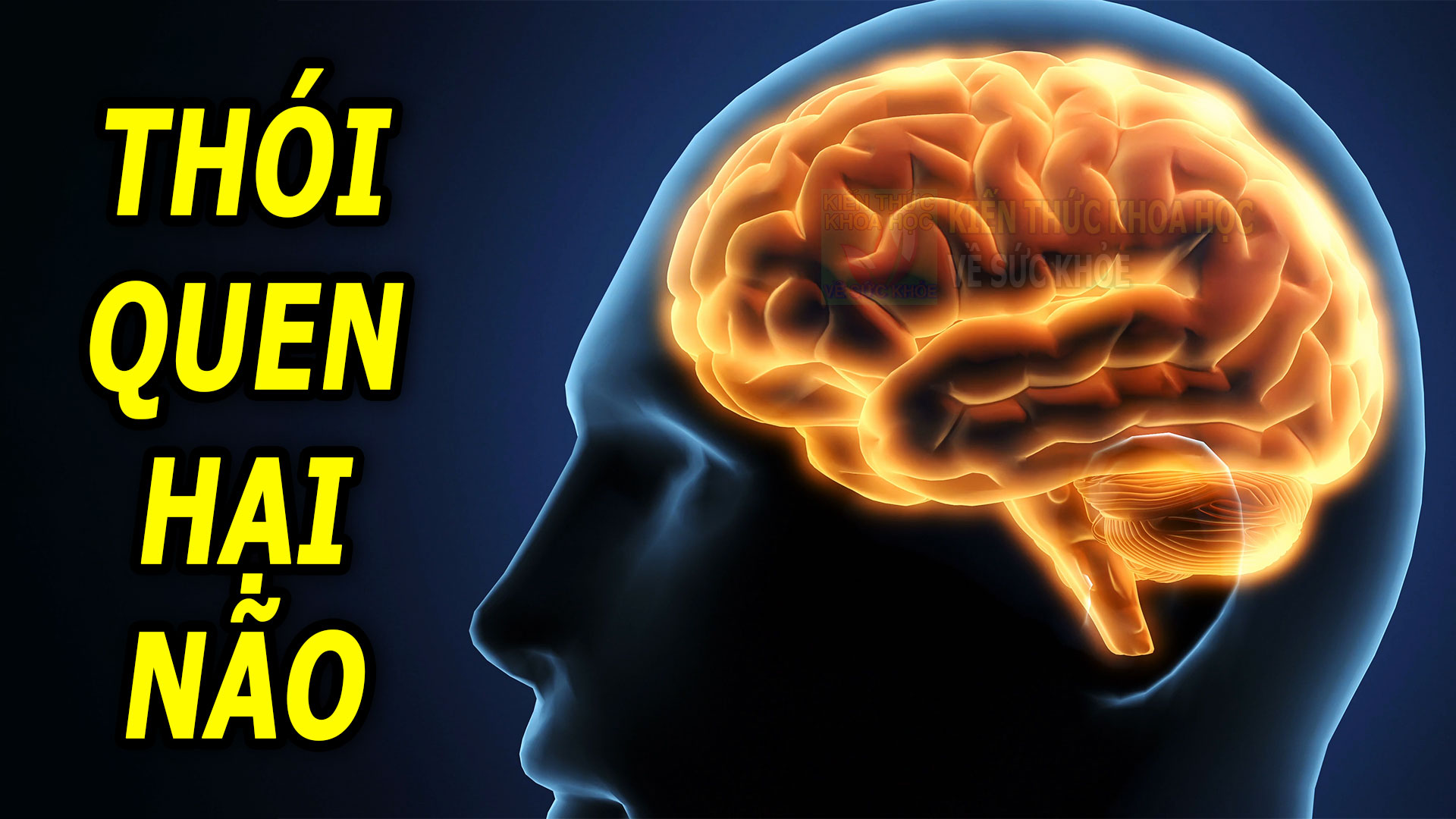 8-thoi-quen-hang-ngay-gay-hai-cho-nao-bo