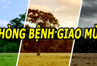 nhung-viec-nen-lam-de-phong-benh-khi-thoi-tiet-giao-mua