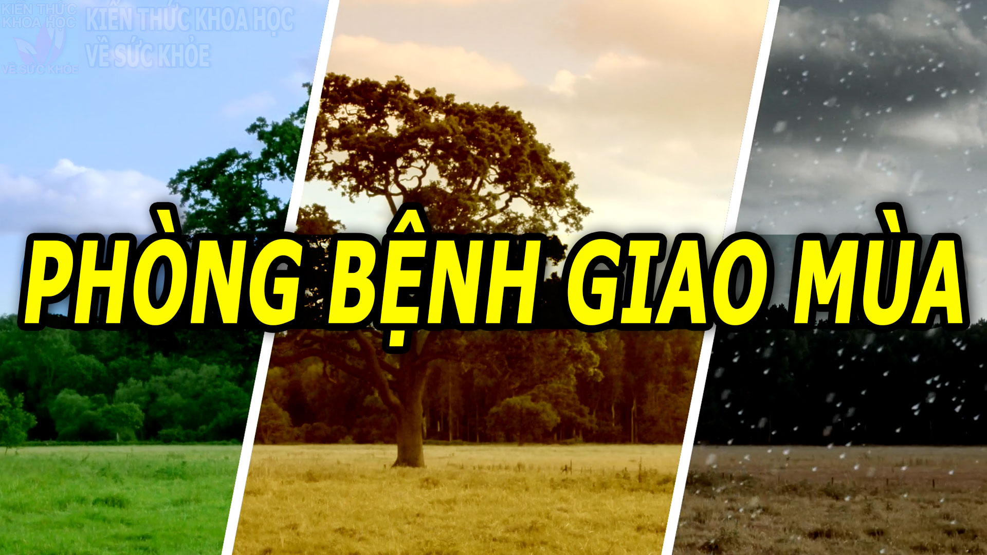 nhung-viec-nen-lam-de-phong-benh-khi-thoi-tiet-giao-mua