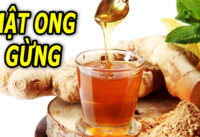 uong-nuoc-gung-mat-ong-vao-buoi-sang-dieu-gi-se-xay-ra-voi-co-the