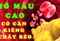 mo-mau-cao-co-nen-kieng-hoan-toan-chat-beo