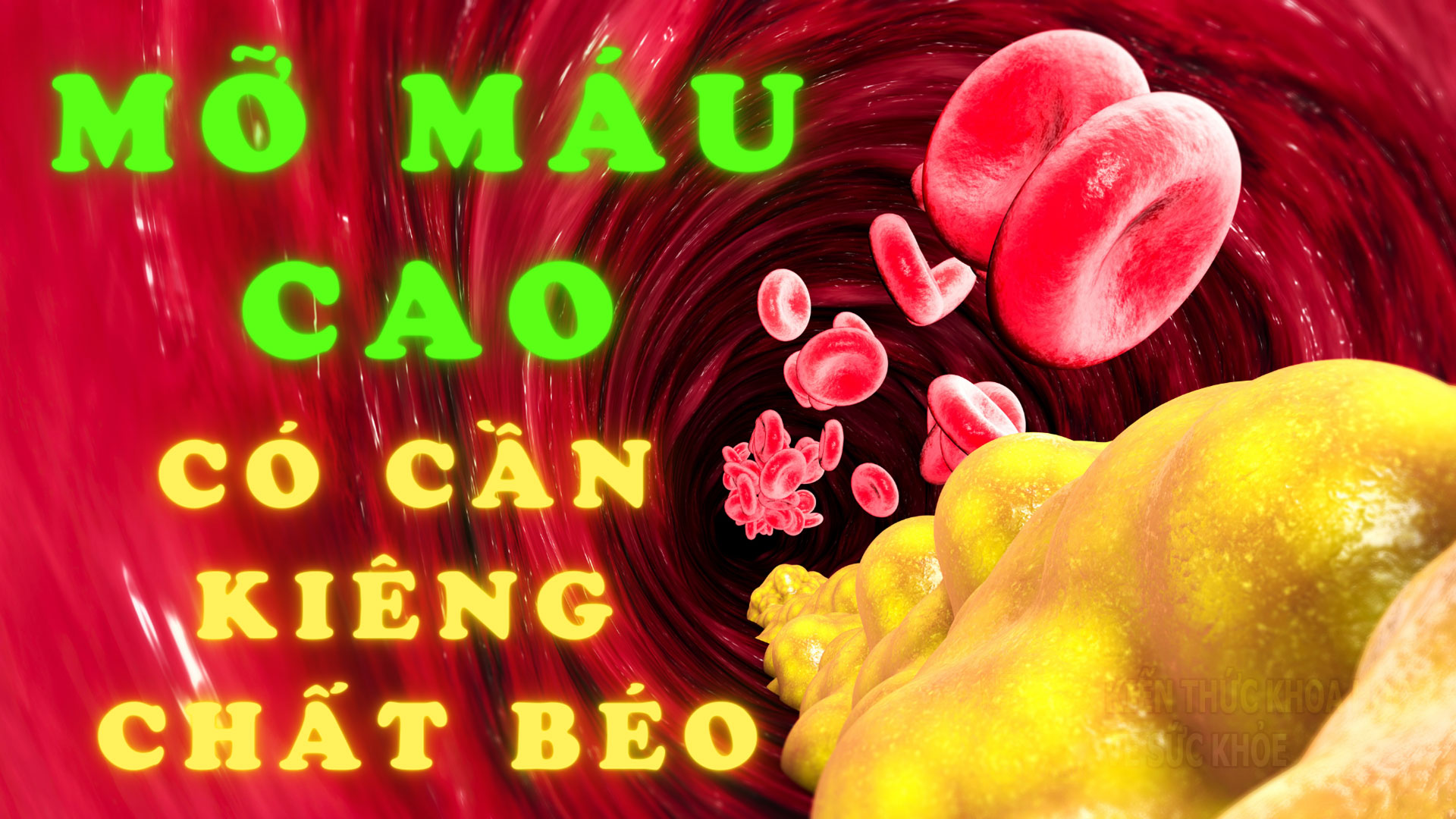 mo-mau-cao-co-nen-kieng-hoan-toan-chat-beo