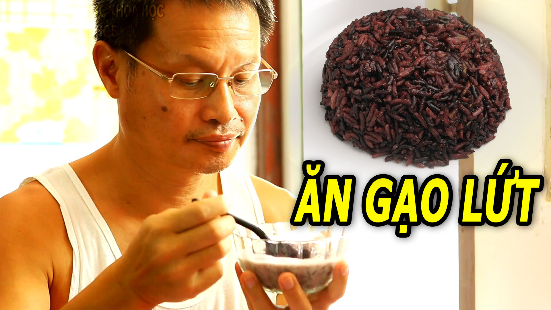 thuong-xuyen-an-gao-lut-dieu-gi-se-xay-ra-voi-co-the