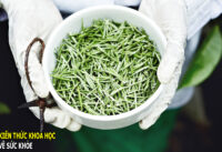 5-loai-tra-dac-biet-tot-cho-suc-khoe-giau-chat-chong-oxy-hoa