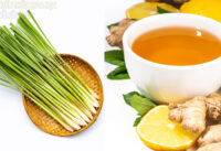 6-loai-thao-moc-san-co-trong-nha-bep-giup-phong-ngua-om-dau-benh-tat