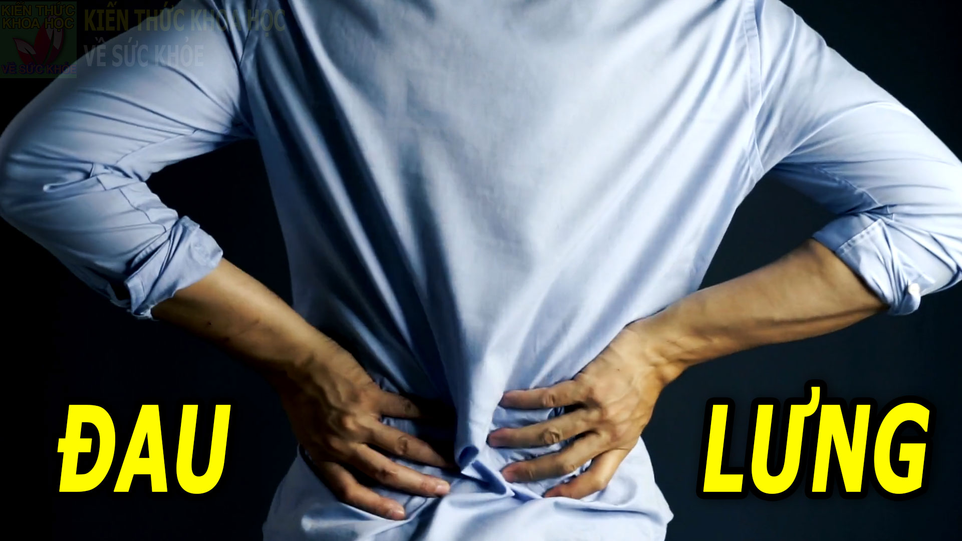 co-dau-hieu-nay-khi-bi-dau-lung-can-di-tham-kham-som