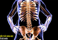 duong-chat-dac-biet-giup-xuong-chac-khoe-nhung-it-ai-de-y-den