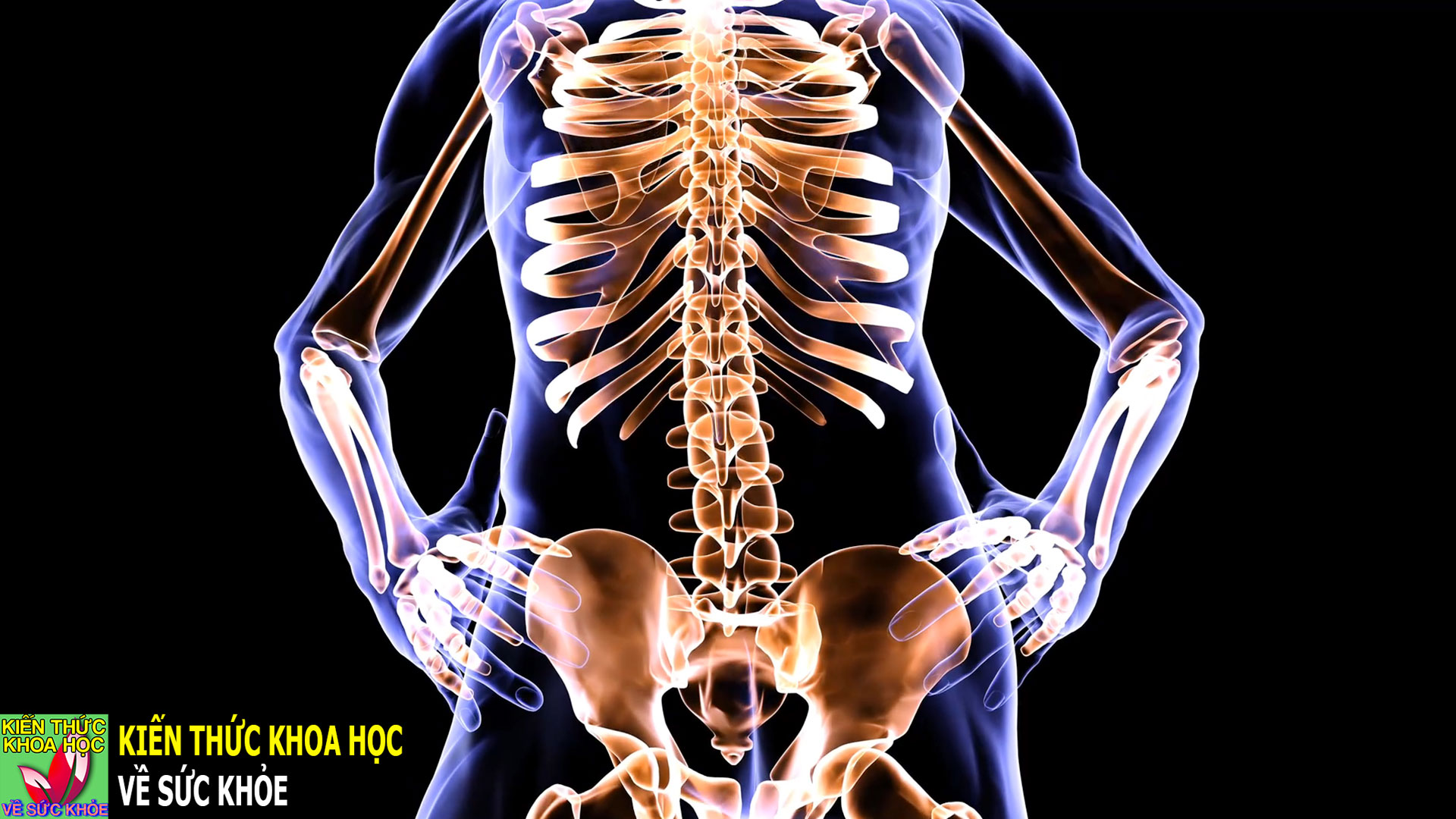 duong-chat-dac-biet-giup-xuong-chac-khoe-nhung-it-ai-de-y-den