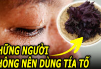 nhung-nguoi-nao-khong-nen-su-dung-tia-to