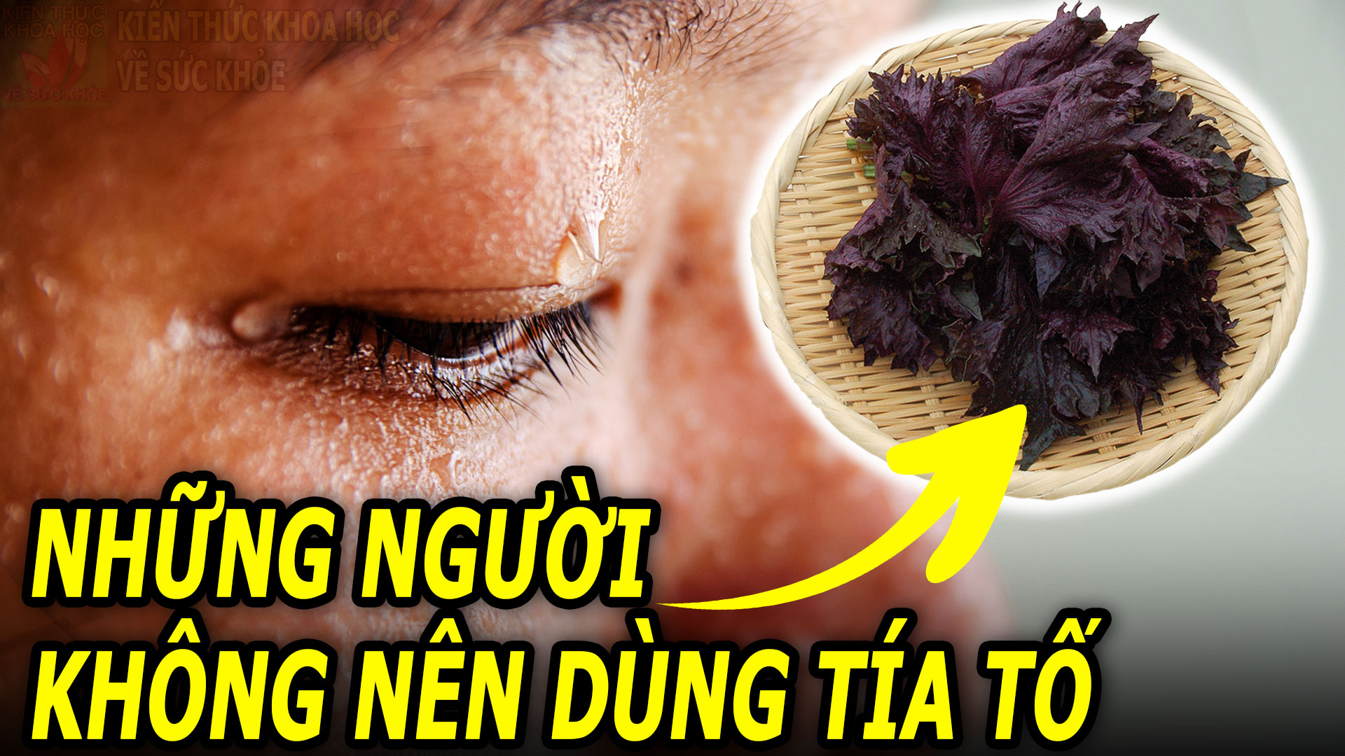 nhung-nguoi-nao-khong-nen-su-dung-tia-to