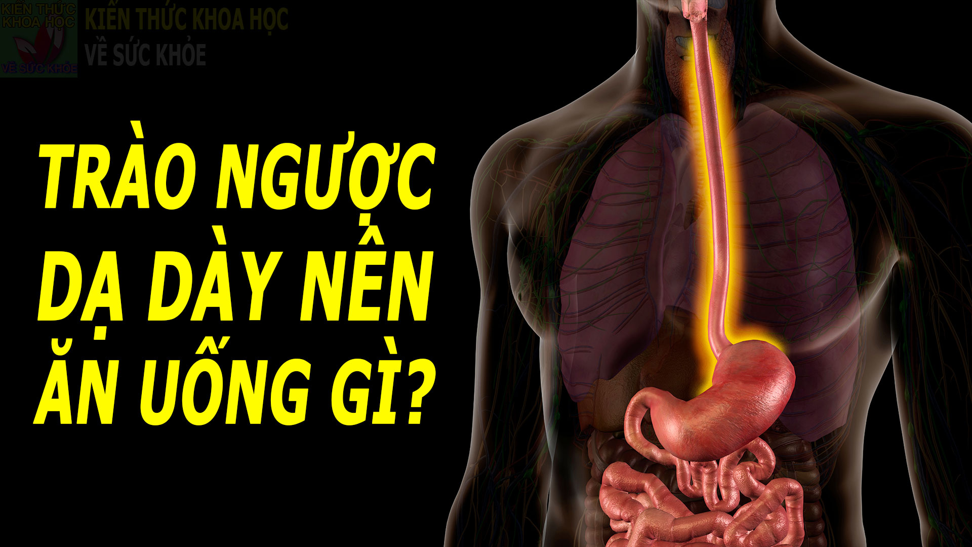 trao-nguoc-da-day-thuc-quan-nen-an-uong-gi