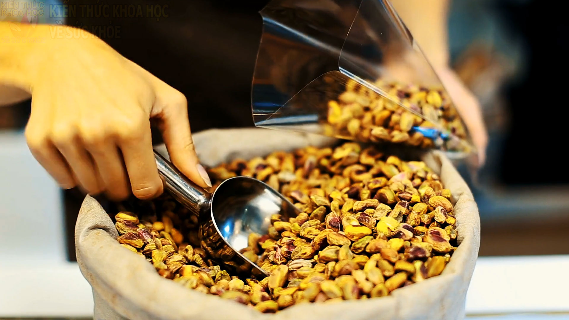 7-loai-hat-tot-cho-suc-khoe-nguoi-gia-nguoi-cao-tuoi