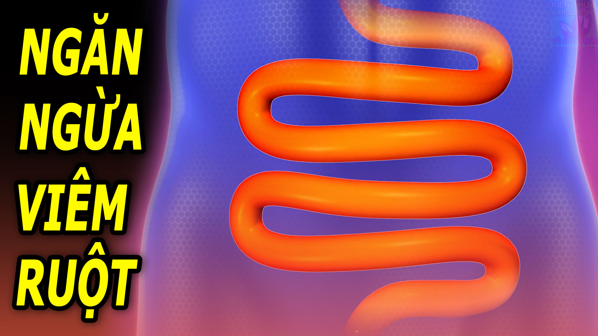 5-loai-gia-vi-tot-cho-suc-khoe-duong-ruot